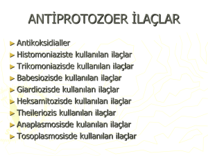 antiprotozoer ilaçlar - Ankara Üniversitesi Açık Ders Malzemeleri