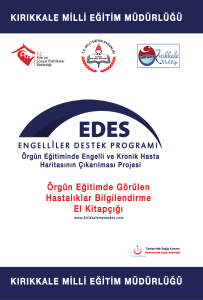 Dosya - EDES Projesi