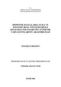 dispeptik hastalarda elısa ve western blot yöntemleri ile helıcobacter