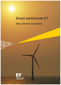 Enerji sektöründe EY