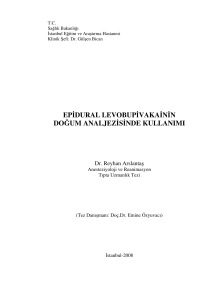 epidural levobupivakainin doğum analjezisinde kullanımı