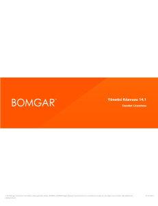 Bomgar 14.1 Yönetici Kılavuzu | Standart Lisanslama