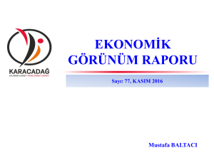 2016 Kasım Ayı Ekonomik Görünüm Raporu