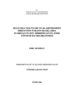 helıcobacter pylorı ve klaritromisin direncinin parafin