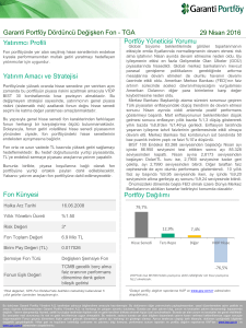 Portföy Yöneticisi Yorumu Portföy Dağılımı Yatırımcı Profili 29 Nisan