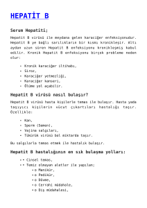 hepatit b,erkeklerde kısırlık,luteinizan hormon