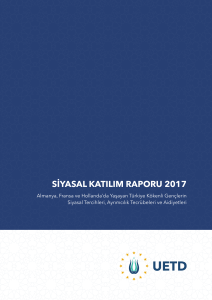 siyasal katılım raporu 2017