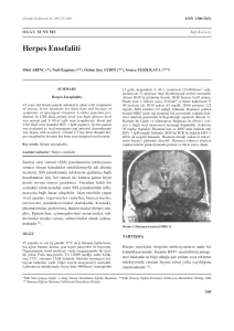 Herpes Ensefaliti