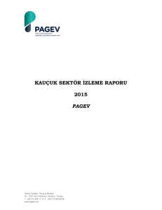 Türkiye Kauçuk Sektör İzleme Raporu 2015