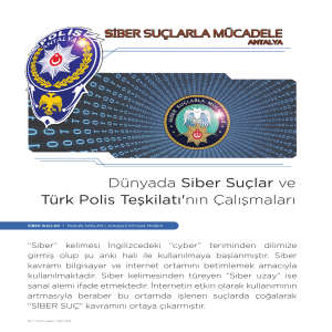 Dünyada Siber Suçlar ve Türk Polis Teşkilatı`nın Çalışmaları