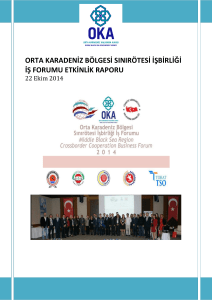 Orta Karadeniz Bölgesi Sınırötesi İşbirliği İş Forumu Raporu