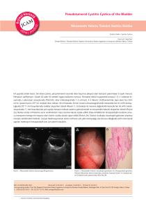 Pseudotumoral Cystitis Cystica of the Bladder Mesanenin Yalancı