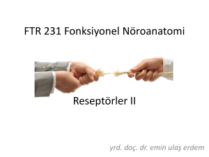 FTR 231 Fonksiyonel Nöroanatomi Reseptörler II
