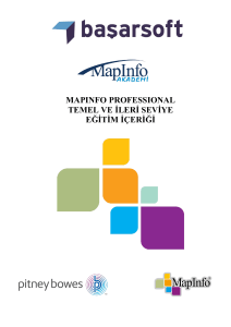 mapınfo professıonal temel ve ileri seviye eğitim içeriği