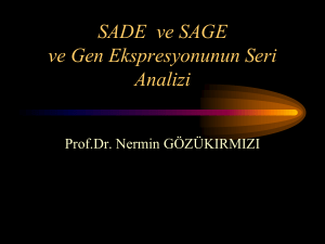 SADE ve SAGE ve Gen Ekspresyonunun Seri Analizi