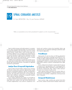 spinal cerrahide anestezi