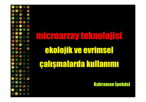microarray teknolojisi