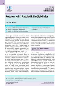 Rotator Kılıf: Patolojik Değişiklikler