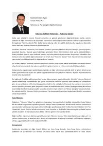 Mehmet Erdem Aykin Turcas Petrol A.Ş Yatırımcı ve Pay sahipleri