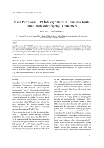 nsan Parvovirus B19 - Türk Mikrobiyoloji Cemiyeti Dergisi