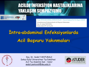 Writing and Publishing in Emergency Medicine Turkish Perspective