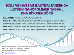 Pınar AKALIN, Sentromer DNA Teknolojileri Ltd. Şti. Fatma Neşe