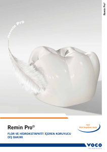 Remin Pro - VOCO GmbH