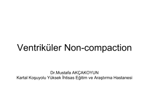 Ventriküler Non-compaction ve Ani Ölüm