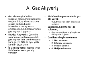 A. Gaz Alışverişi - video.eba.gov.tr