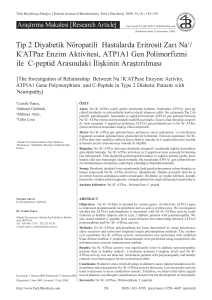K+ATPaz Enzim Aktivitesi, ATP1A1 Gen Polimorfizmi ile C