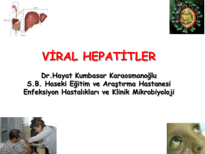 viral hepatitler=bulaşıcı sarılıklar