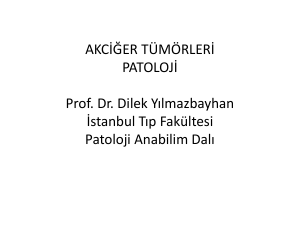 AKCİĞER TÜMÖRLERİ PATOLOJİ Prof. Dr. Dilek Yılmazbayhan