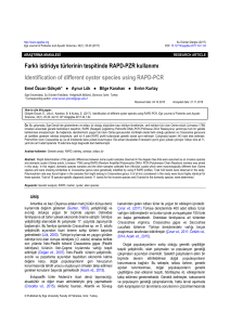 Farklı istiridye türlerinin tespitinde RAPD