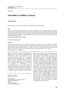 mikroRNA`lar (miRNA) - Uludağ Üniversitesi Tıp Fakültesi Dergisi