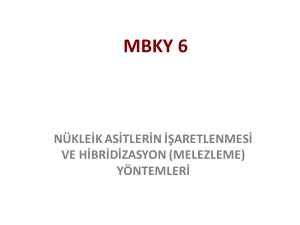 MBKY 6 Hibridizasyon Yöntemleri