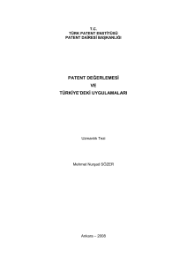 patent değerlemesi ve türkiye`deki uygulamaları