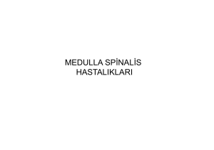 medulla spinalis hastalıkları