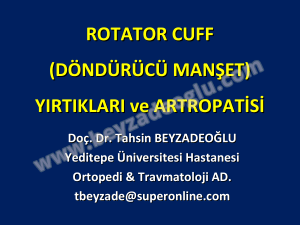 ROTATOR CUFF - Dr. Tahsin Beyzadeoğlu