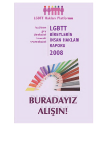 2008 lgbt bireylerin insan hakları raporu