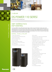 DS Power Serisi 110 Serisi (5-80kVA)