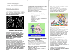 3/a sınıfı istiklal ilkokulu türkçe dersi broşür