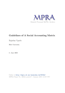 Guidelines of A Social Accounting Matrix