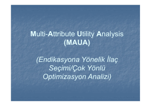 Multi-Attribute Utility Analysis (MAUA