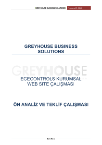 greyhouse busıness solutıons egecontrols kurumsal web sıte