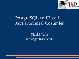 PostgreSQL ve JBoss ile Java Kurumsal Çözümler