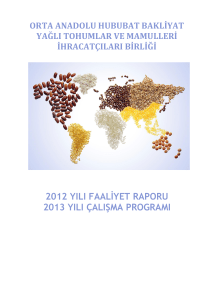 2012 yılı faaliyet raporu 2013 yılı çalışma programı