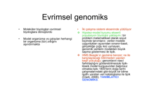 Evrimsel genomiks