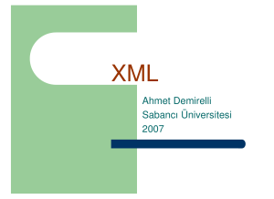 Ahmet Demirelli Sabancı Üniversitesi 2007