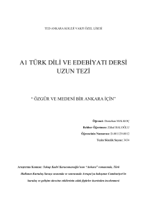 a1 türk dili ve edebiyatı dersi uzun tezi - tedprints