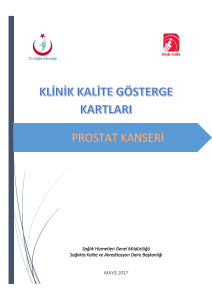 Prostat Kanseri